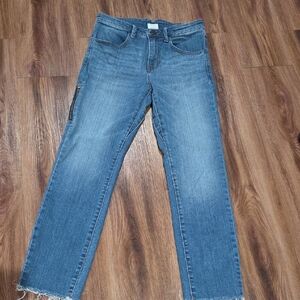 Ripton & Co Size 28 Blue Straight Leg Women's Jeans